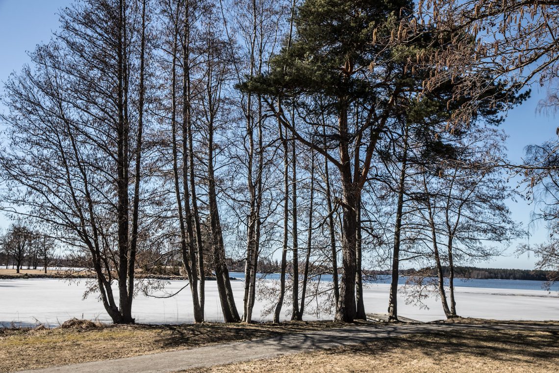 Näkymä Pororannasta Liekovedelle tiistaina iltapäivällä.